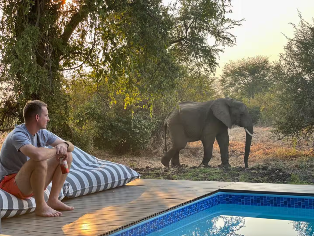 Guest watching an elephant from the pool deck at sunset